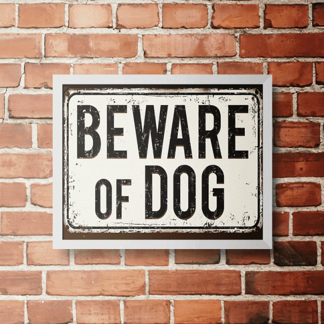 Placa Beware Of Dog 30cm X 40cm Com Moldura Branca